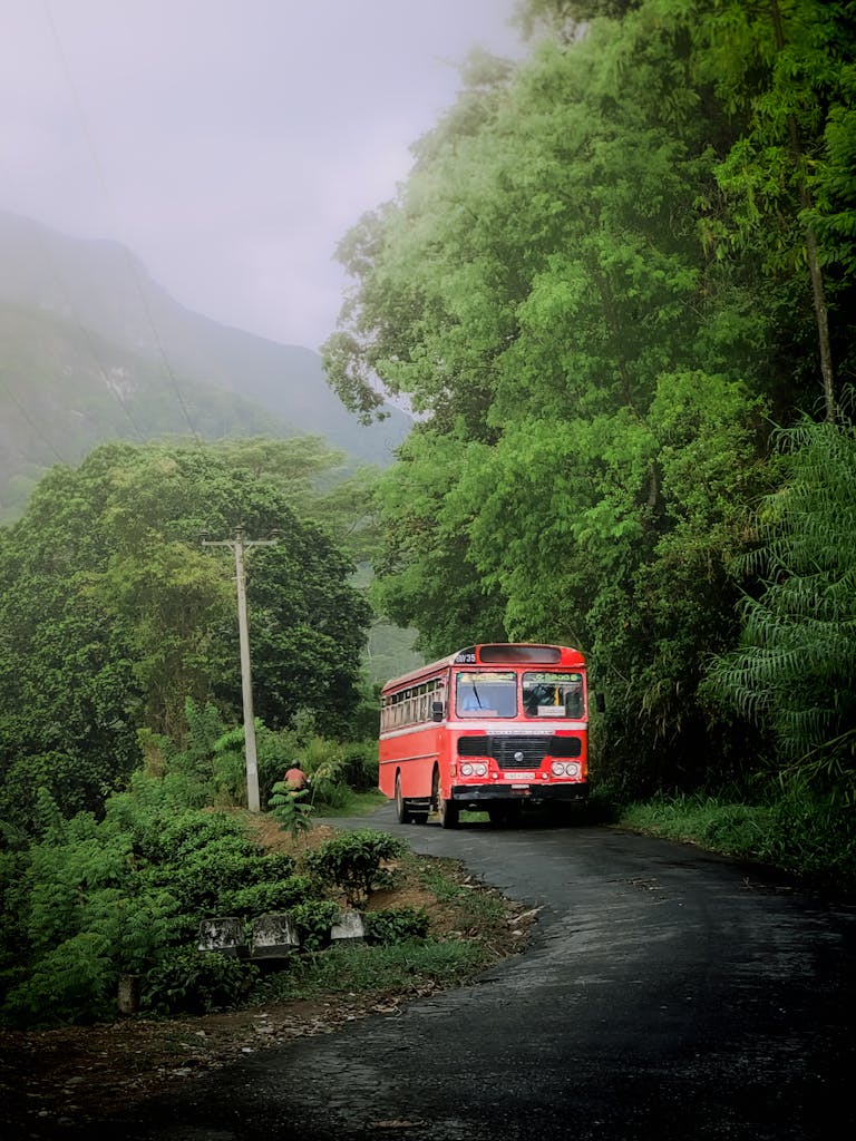 A red public bus navigates a lush green road in Sri Lanka's countryside, surrounded by dense foliage and mist-covered hills.