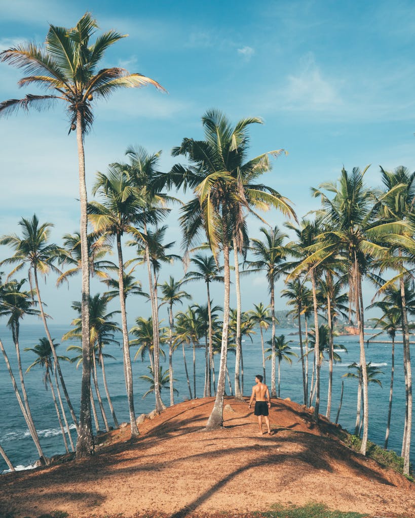 Man walking amidst coconut palms by the ocean in Mirissa, Sri Lanka, embodying tropical paradise vibes.