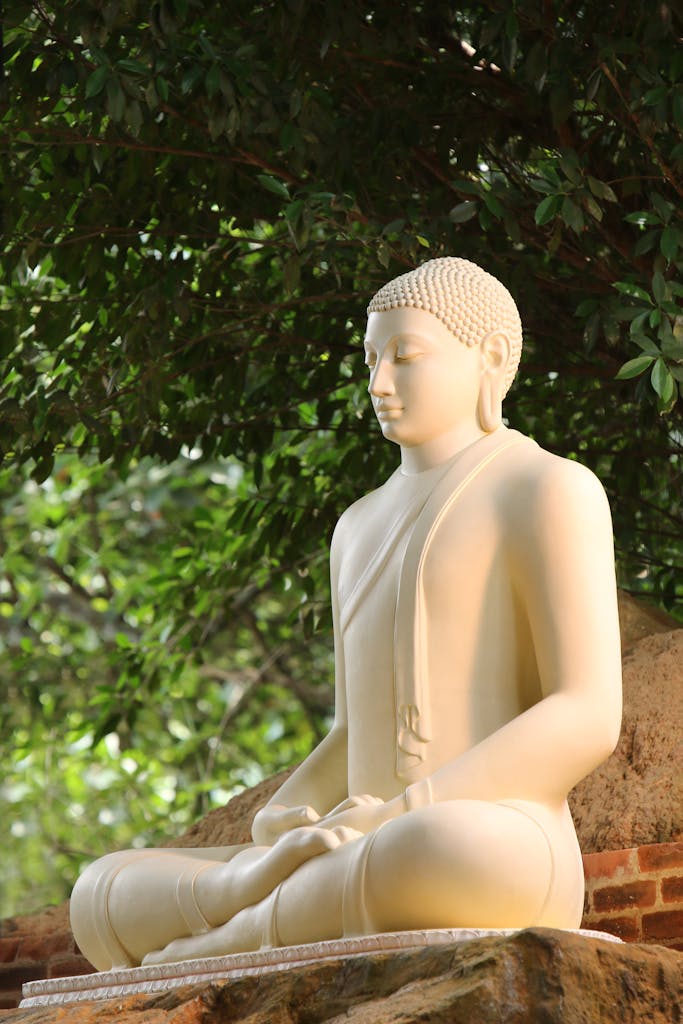 Serene white Buddha statue in meditation under a lush green tree outdoors.